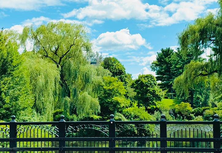 what-is-trauma-bridge-to-healing-therapy-rebecca-boyko